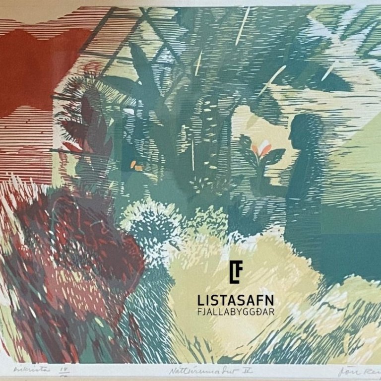 jon-reykdal_natturumadur-iv-ink